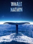 Layarkaca21 LK21 Dunia21 Nonton Film Whale Nation (2023) Subtitle Indonesia Streaming Movie Download Layarkaca21 LK21 Dunia21 Nonton Film Whale Nation (2023) Subtitle Indonesia Streaming Movie Download