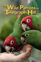 Nonton Film The Wild Parrots of Telegraph Hill (2003) Subtitle Indonesia Streaming Movie Download