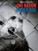 Layarkaca21 LK21 Dunia21 Nonton Film One Nation Under Dog (2012) Subtitle Indonesia Streaming Movie Download Layarkaca21 LK21 Dunia21 Nonton Film One Nation Under Dog (2012) Subtitle Indonesia Streaming Movie Download
