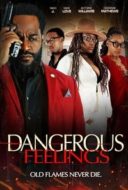 Layarkaca21 LK21 Dunia21 Nonton Film Dangerous Feelings (2024) Subtitle Indonesia Streaming Movie Download