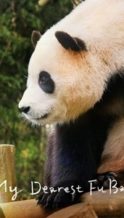 Nonton Film My Dearest Fu Bao (2024) Subtitle Indonesia Streaming Movie Download
