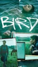 Nonton Film Bird (2024) Subtitle Indonesia Streaming Movie Download