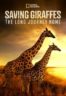 Layarkaca21 LK21 Dunia21 Nonton Film Saving Giraffes: The Long Journey Home (2022) Subtitle Indonesia Streaming Movie Download