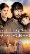 Nonton Film Love Finds You In Sugarcreek (2014) Subtitle Indonesia Streaming Movie Download