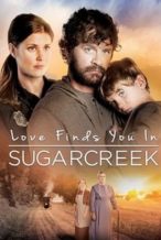 Nonton Film Love Finds You In Sugarcreek (2014) Subtitle Indonesia Streaming Movie Download