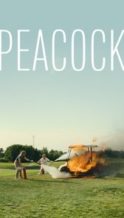 Nonton Film Peacock (2025) Subtitle Indonesia Streaming Movie Download