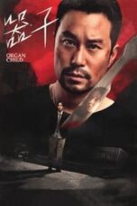 Poster Film Organ Child (2025)