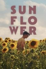 Sunflower (2024)