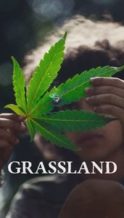 Nonton Film Grassland (2025) Subtitle Indonesia Streaming Movie Download