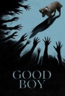 Layarkaca21 LK21 Dunia21 Nonton Film Good Boy (2025) Subtitle Indonesia Streaming Movie Download
