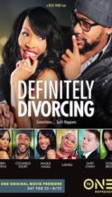 Nonton Film Definitely Divorcing (2016) Subtitle Indonesia Streaming Movie Download