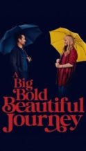 Nonton Film A Big Bold Beautiful Journey (2025) Subtitle Indonesia Streaming Movie Download