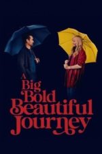 A Big Bold Beautiful Journey (2025) A Big Bold Beautiful Journey (2025)