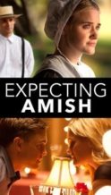Nonton Film Expecting Amish (2014) Subtitle Indonesia Streaming Movie Download