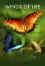 Poster Film Wings of Life (2011)