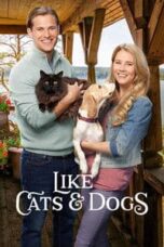 Poster Film Like Cats & Dogs (2017)
