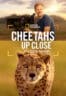 Layarkaca21 LK21 Dunia21 Nonton Film Cheetahs Up Close with Bertie Gregory (2026) Subtitle Indonesia Streaming Movie Download