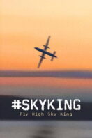Poster Film #SKYKING (2026)