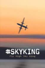Poster Film #SKYKING (2026)