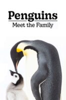 Poster Film Penguins: Meet the Family (2020)