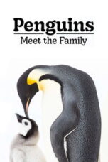 Poster Film Penguins: Meet the Family (2020)