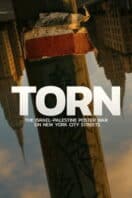 Poster Film Torn: The Israel-Palestine Poster War on New York City Streets (2025)