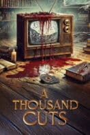 Poster Film A Thousand Cuts (2024)