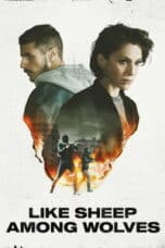 Poster Film Like Sheep Among Wolves (2023)