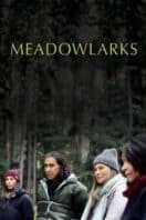 Poster Film Meadowlarks (2025)