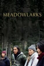 Poster Film Meadowlarks (2025)