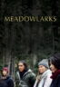 Poster Film Meadowlarks (2025)