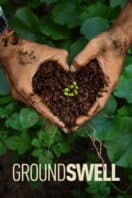 Poster Film Groundswell (2026)