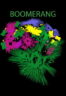 Poster Film Boomerang (2024)