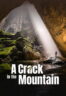 Poster Film A Crack in the Mountain (2023)