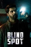 Poster Film Blind Spot (2025)