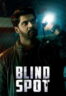 Poster Film Blind Spot (2025)