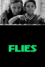 Poster Film Flies (2026)