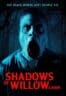 Poster Film Shadows of Willow Cabin (2025)