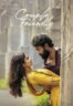 Poster Film Couple Friendly (2026)
