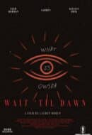 Poster Film Wait Til Dawn (2025)