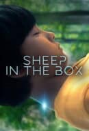 Poster Film Sheep in the Box (2026)