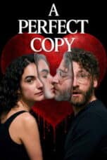 Poster Film A Perfect Copy (2026)
