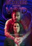 Poster Film Echoes from the Void (2026)