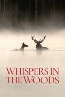Poster Film Whispers in the Woods (2025)