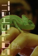 Poster Film Softshell (2024)
