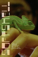 Poster Film Softshell (2024)
