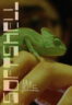 Poster Film Softshell (2024)