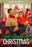 Poster Film What a day before Christmas (2024)